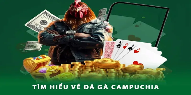 Đá gà Campuchia luôn là bộ môn được nhiều người yêu thích tại ZBET