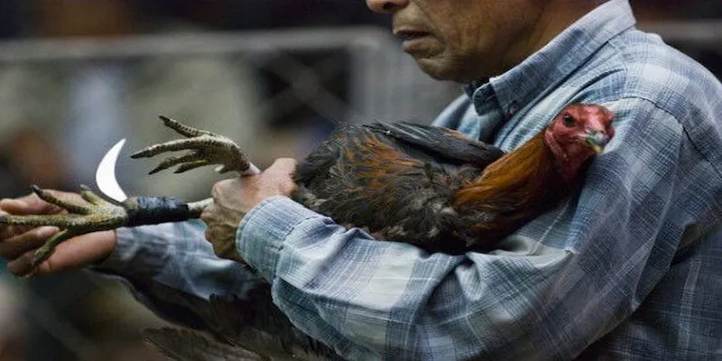 Kiểm tra chân kê