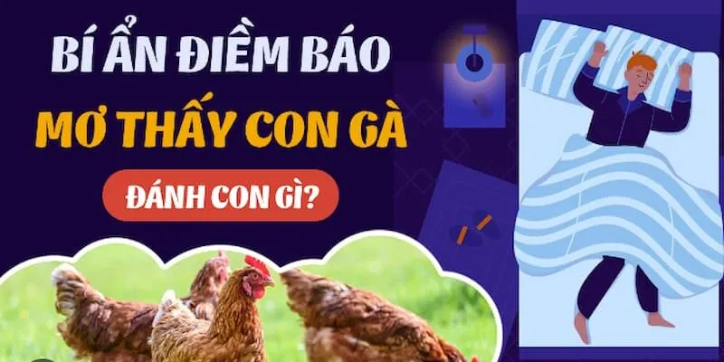 Mơ thấy gà đánh con gì và bỏ túi các bộ số may mắn